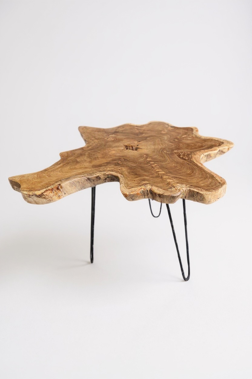 Table d'appoint en bois – table basse de rangement – fait main – plateau de table en coupe transversale d'arbre en bois d'if – 40-80x40-60 cm