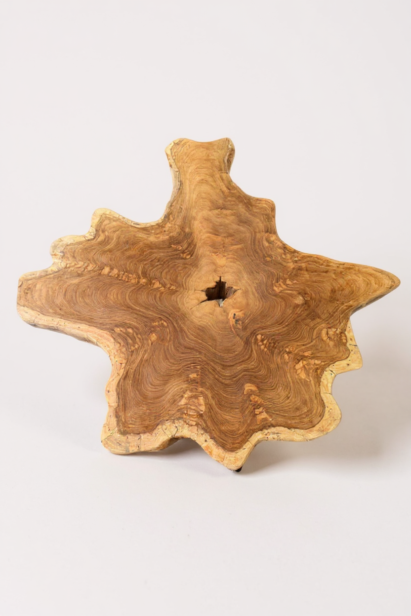 Table d'appoint en bois – table basse de rangement – fait main – plateau de table en coupe transversale d'arbre en bois d'if – 40-80x40-60 cm