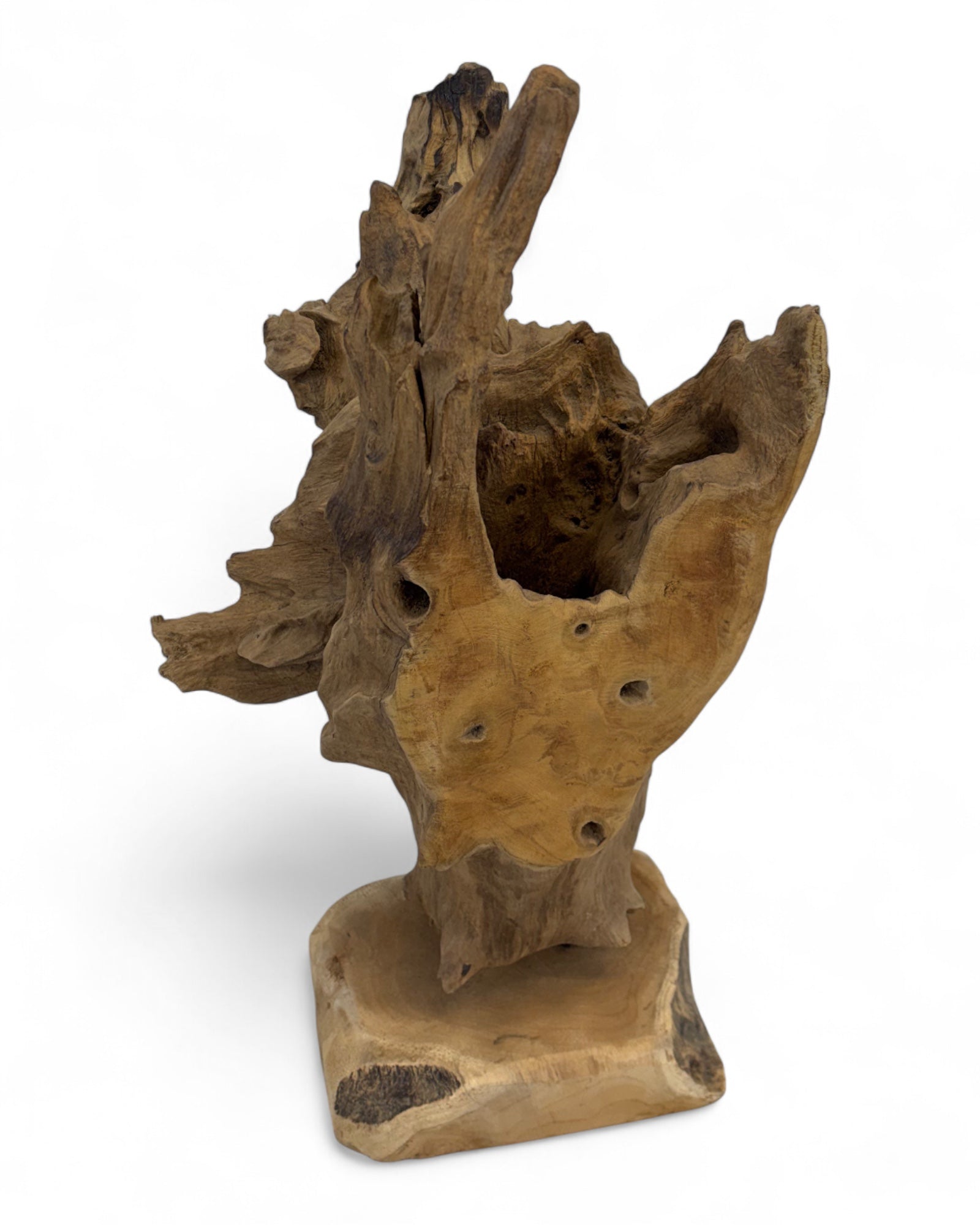 Unique piece: Teak wood decorative sculpture – Natural root wood, one-of-a-kind for living and garden areas