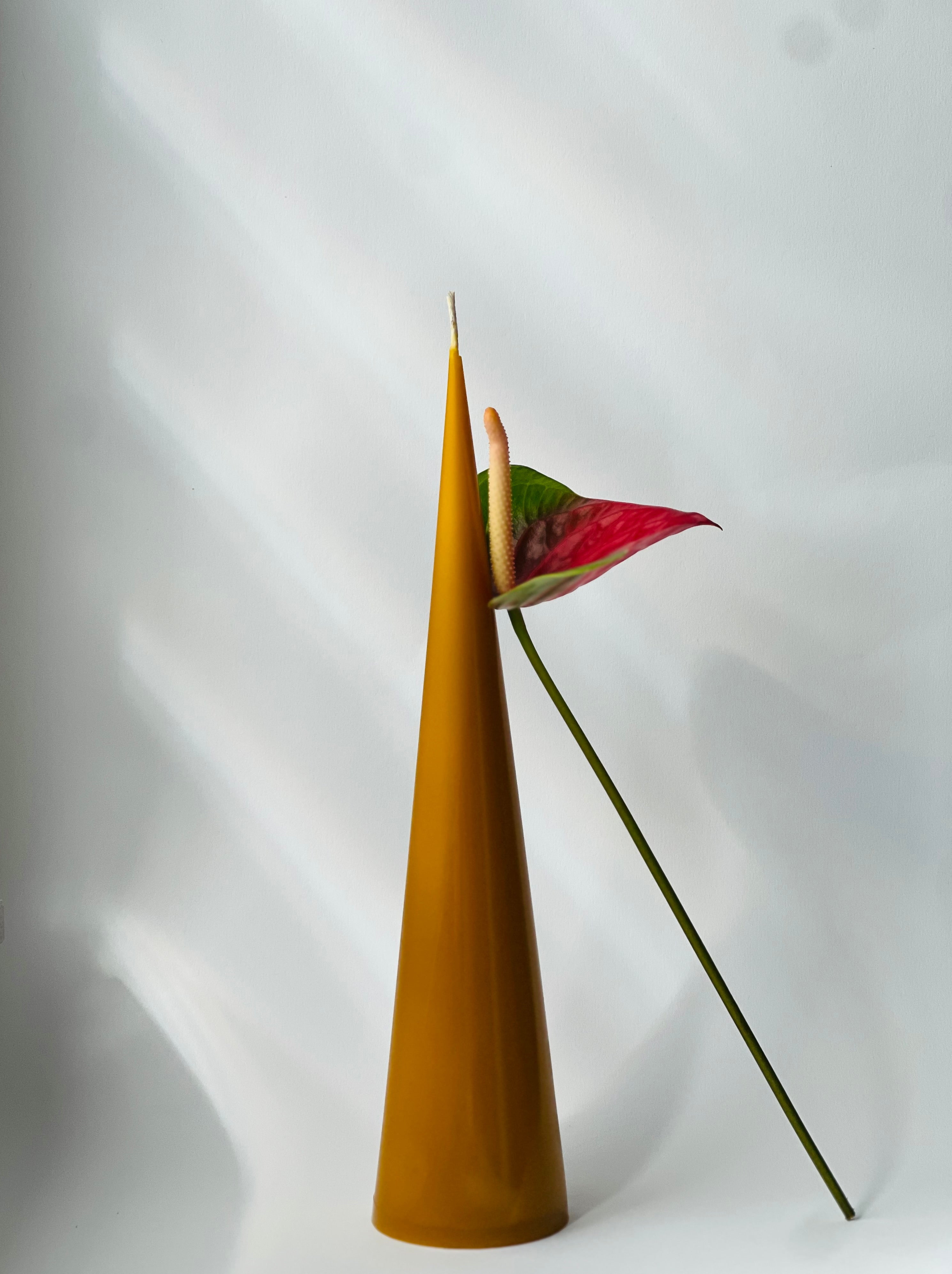 Bougie en cire d'abeille ISTANBUL – Cire d'abeille originale – Coulée à la main – Pour salons et décoration – 3 tailles