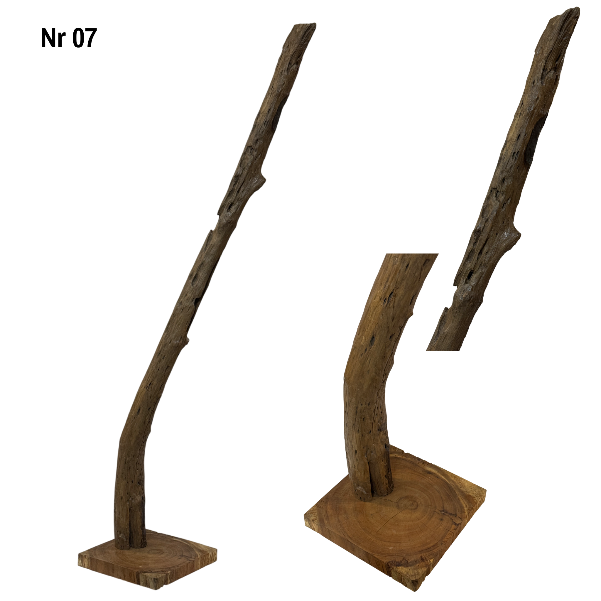 Teakholz Standfuß Naturwurzel – handgefertigtes Massivholz Unikat, dekorativer Holzfuß für Lampen & Wohnraum - 180–200 cm Höhe Ø 8–13 cm