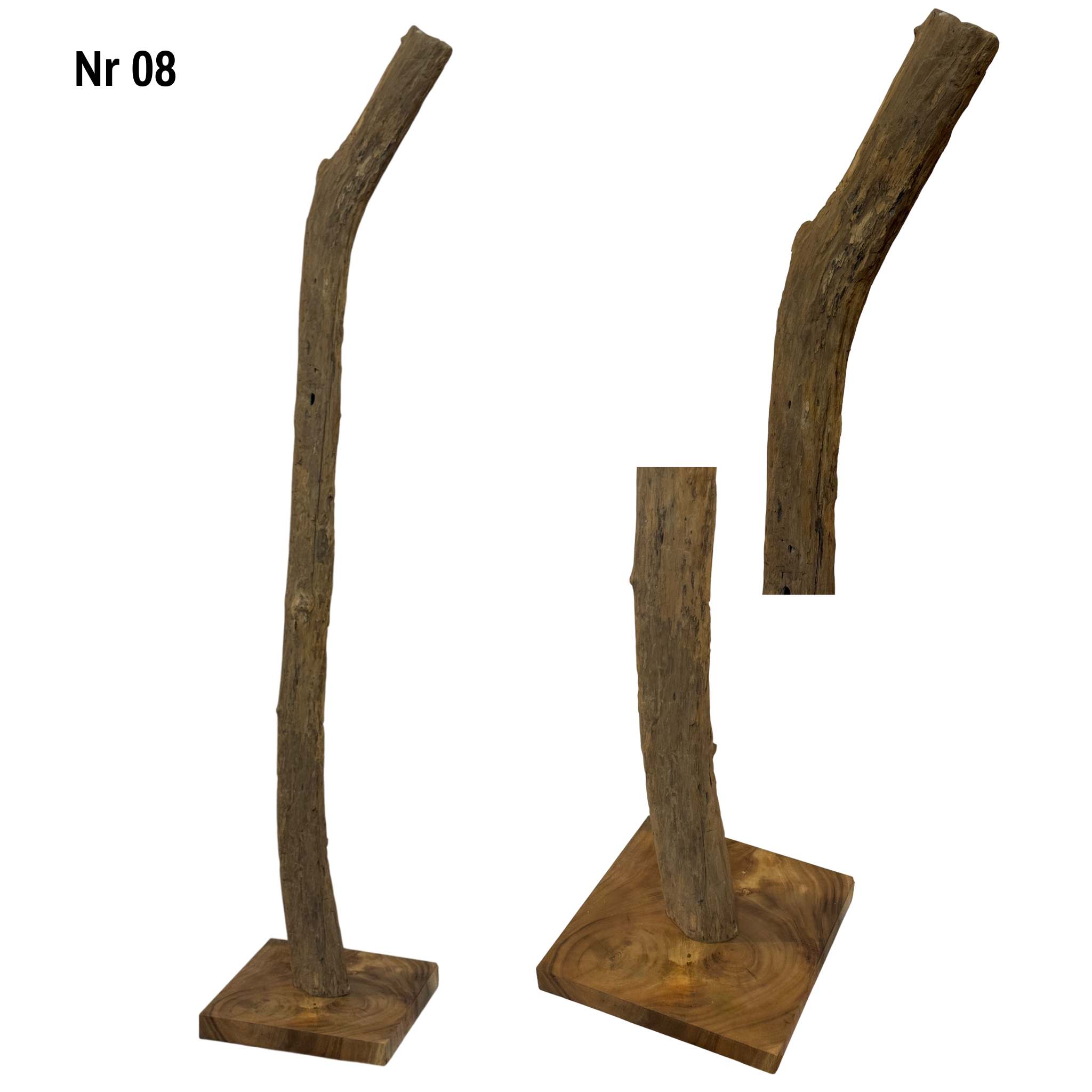 Teakholz Standfuß Naturwurzel – handgefertigtes Massivholz Unikat, dekorativer Holzfuß für Lampen & Wohnraum - 180–200 cm Höhe Ø 8–13 cm