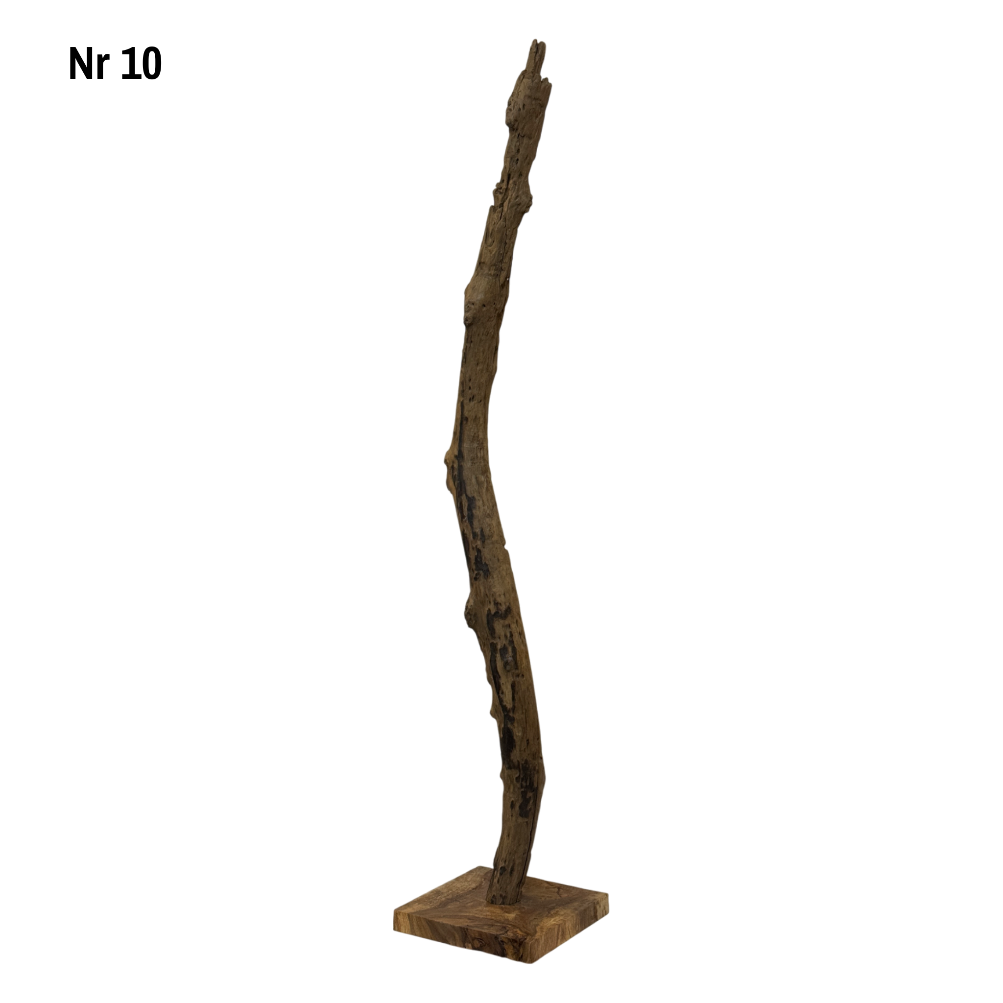 Teakholz Standfuß Naturwurzel – handgefertigtes Massivholz Unikat, dekorativer Holzfuß für Lampen & Wohnraum - 180–200 cm Höhe Ø 8–13 cm