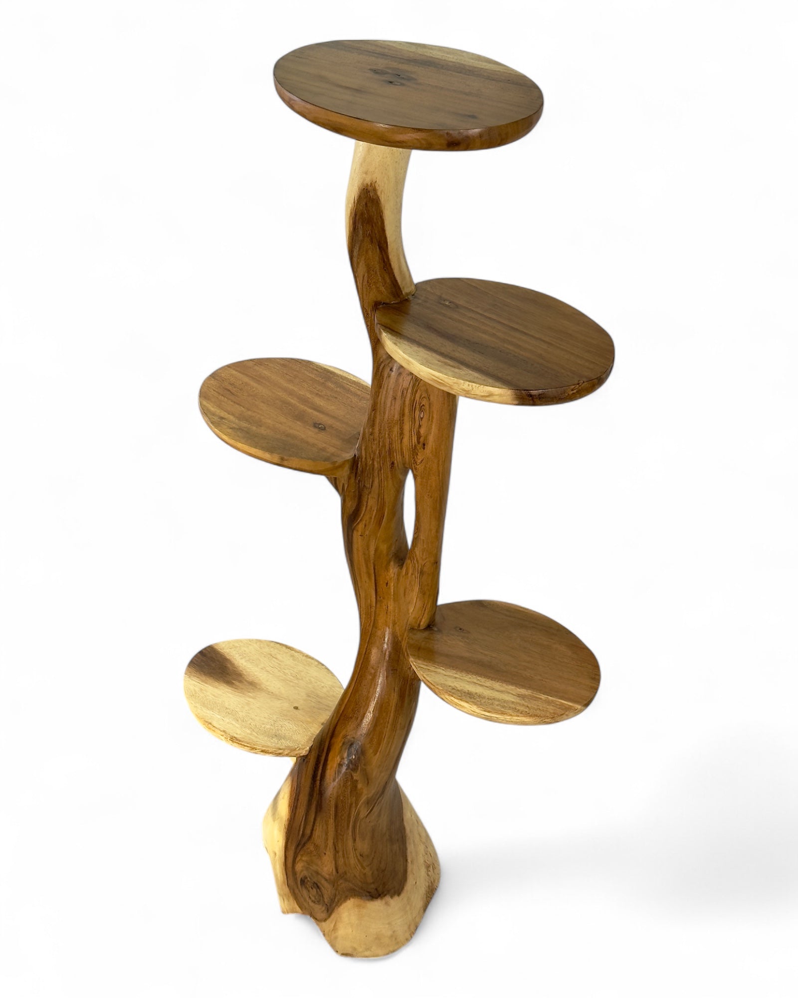 Teak shelf – Natural design with unique wood grain – Versatile home accessory for plants, books & decorations – Various sizes