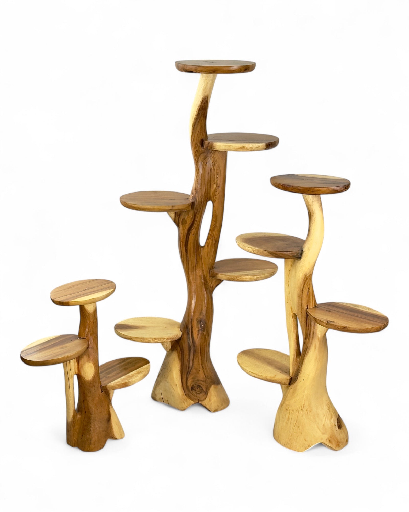 Teak shelf – Natural design with unique wood grain – Versatile home accessory for plants, books & decorations – Various sizes