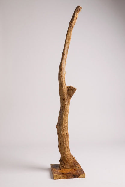 Teakholz Standfuß Naturwurzel – handgefertigtes Massivholz Unikat, dekorativer Holzfuß für Lampen & Wohnraum - 180–200 cm Höhe Ø 8–13 cm