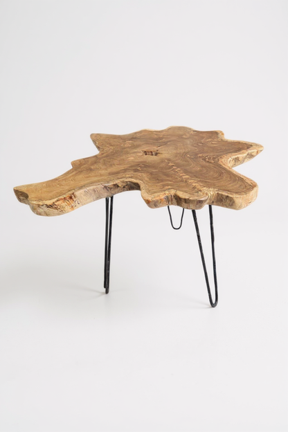 Table d'appoint en bois – table basse de rangement – ​​fait main – plateau de table en coupe transversale d'arbre en bois d'if – 40-80x40-60 cm