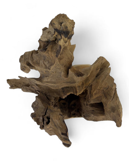 Einzelstück: Teakholz Deko-Skulptur – Naturbelassenes Wurzelholz Unikat für Wohn- & Gartenbereiche