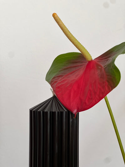 Bougie en cire d'abeille LONDRES – Noire – Édition limitée – Coulée à la main – Pour salons et décoration – 20 x 7 cm