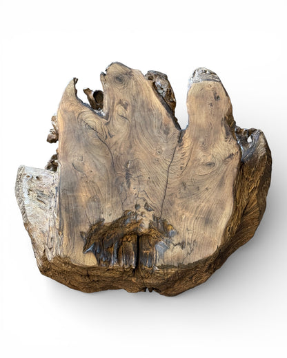 Unique piece: One-of-a-kind garden root wood table made of teak - 42 × 70 × 60 cm