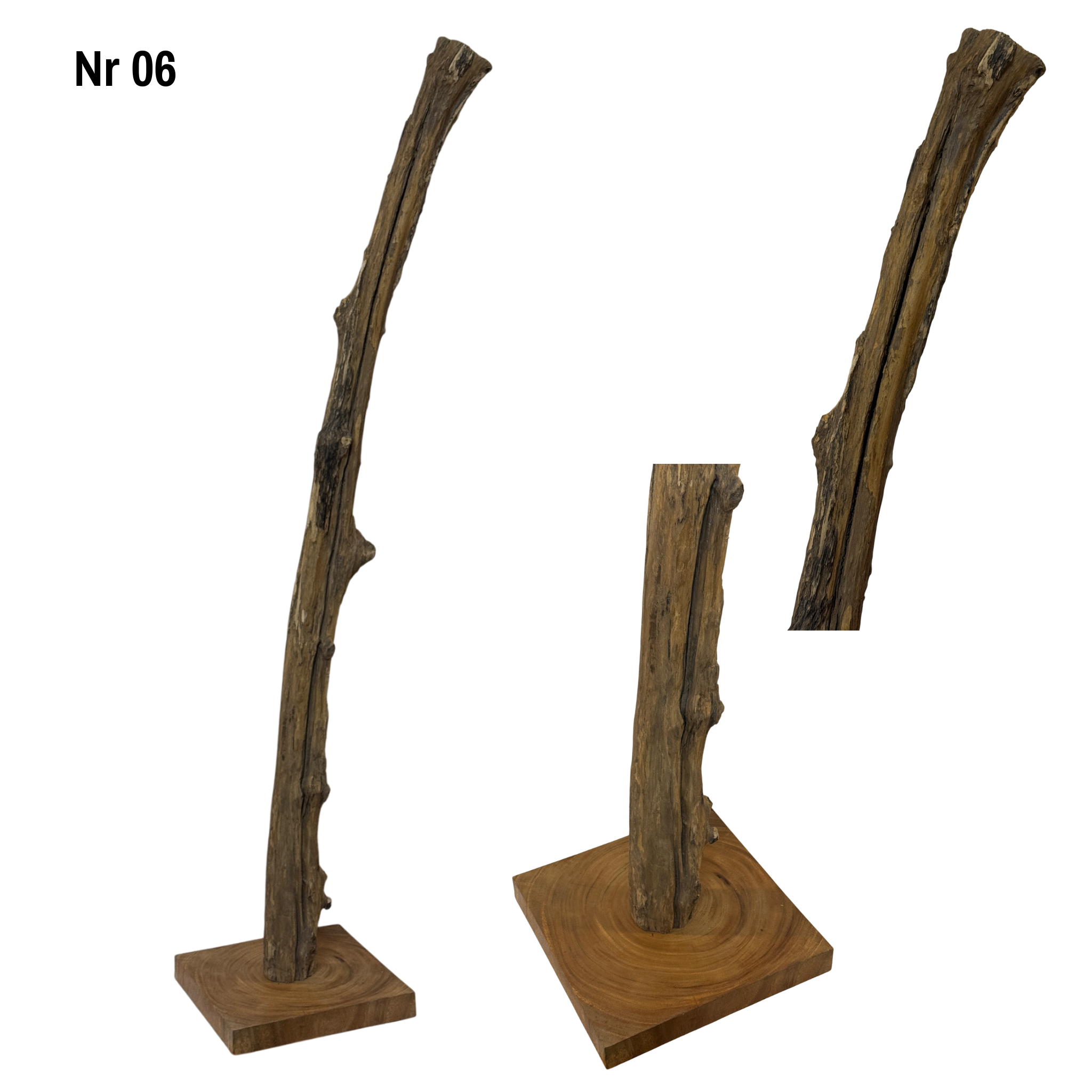 Teakholz Standfuß Naturwurzel – handgefertigtes Massivholz Unikat, dekorativer Holzfuß für Lampen & Wohnraum - 180–200 cm Höhe Ø 8–13 cm