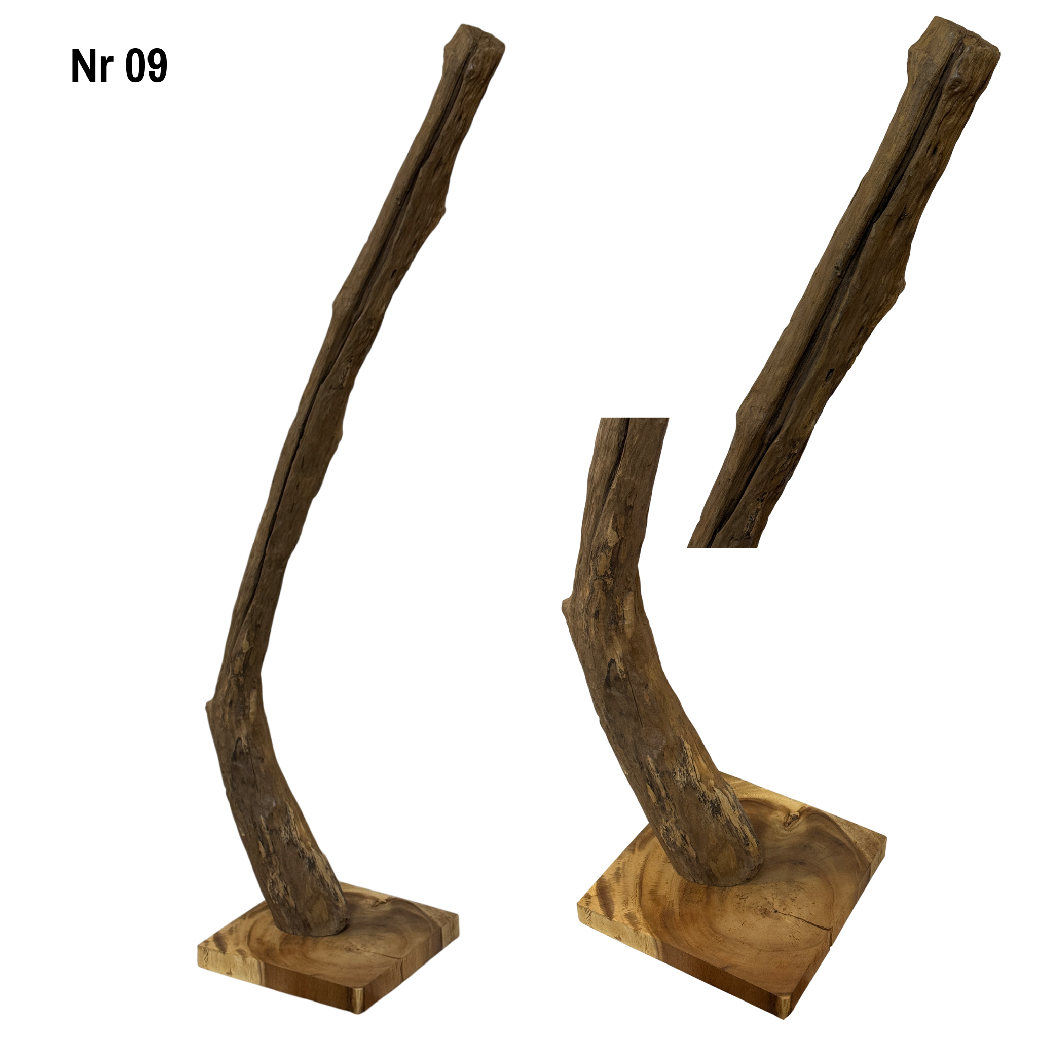 Teakholz Standfuß Naturwurzel – handgefertigtes Massivholz Unikat, dekorativer Holzfuß für Lampen & Wohnraum - 180–200 cm Höhe Ø 8–13 cm