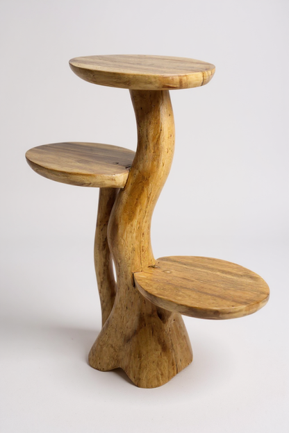 Étagère en teck – Design naturel avec un grain de bois unique – Accessoire de maison polyvalent pour plantes, livres et décorations – Différentes tailles